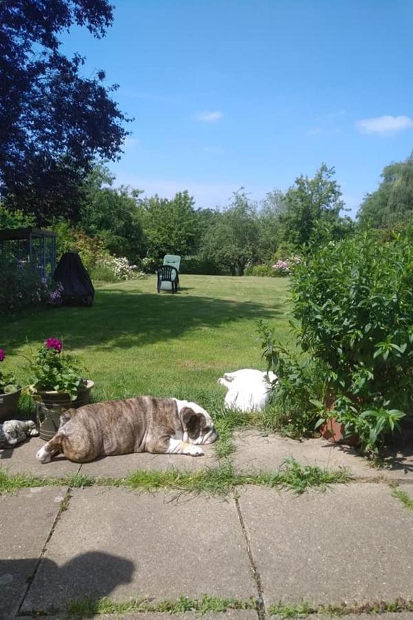 Bed and Breakfast Twenty Skellingthorpe Экстерьер фото