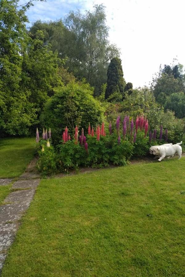 Bed and Breakfast Twenty Skellingthorpe Экстерьер фото