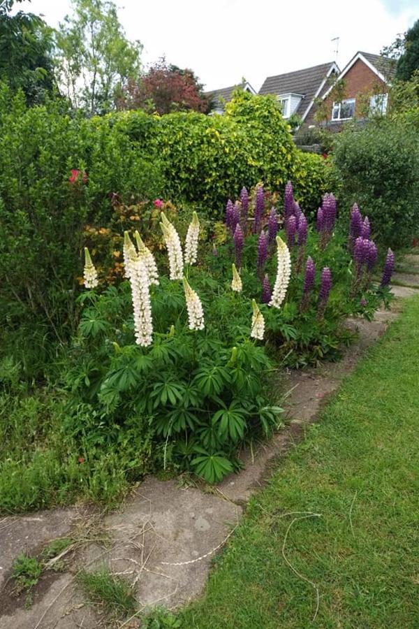 Bed and Breakfast Twenty Skellingthorpe Экстерьер фото